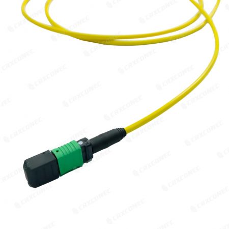 Cable de matriz de fibra OS2 MTP MPO monomodo